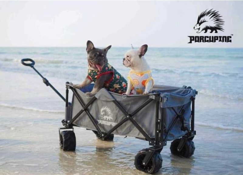 PORCUPINE WAGON ORION ล้อใหญ่ All Terrain